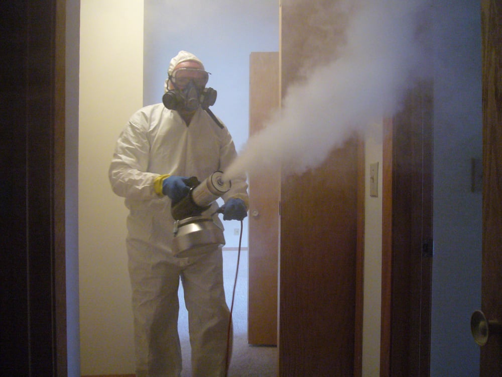 nicotine removal home