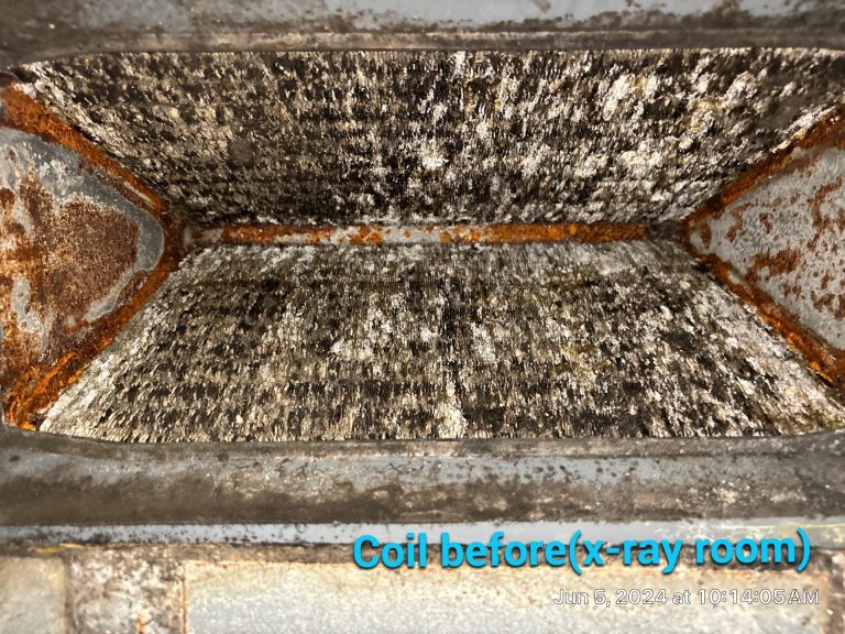Lyme Disease, Mold Sensitivity & Indoor Air: What You Need to Know