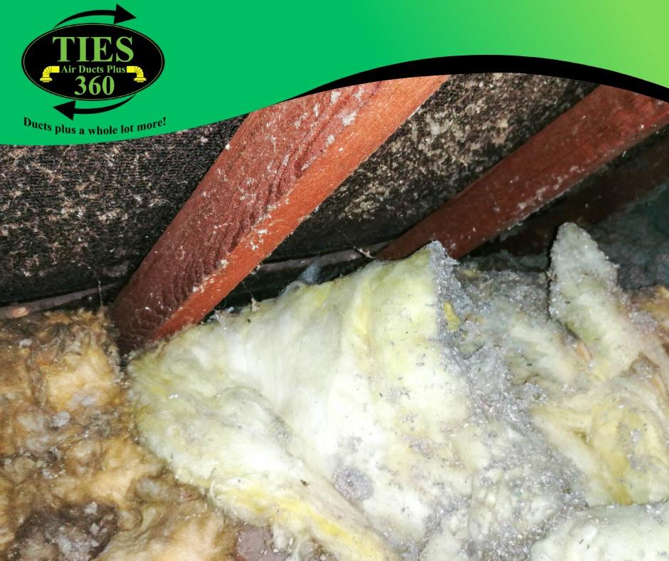 Insulation Indoor Quality Air Blog