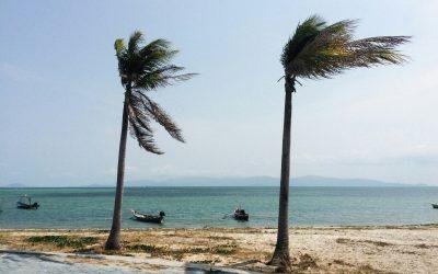 What Do I Need to Prepare For Hurricane Season in Florida?