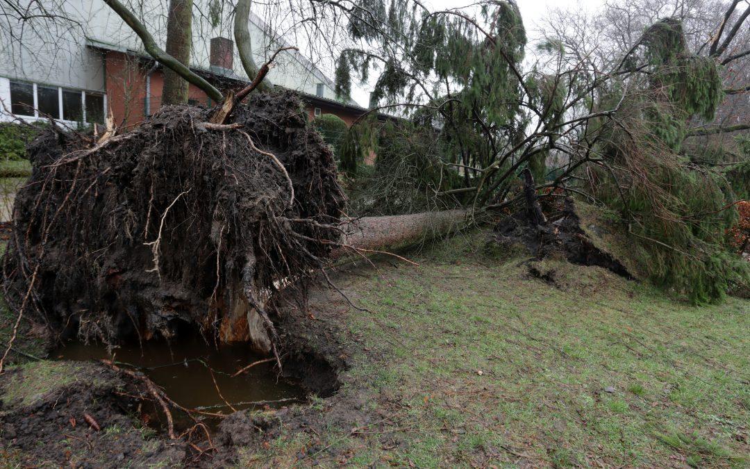 Is Your HVAC Ready for Hurricane Season? Essential Prep Checklist