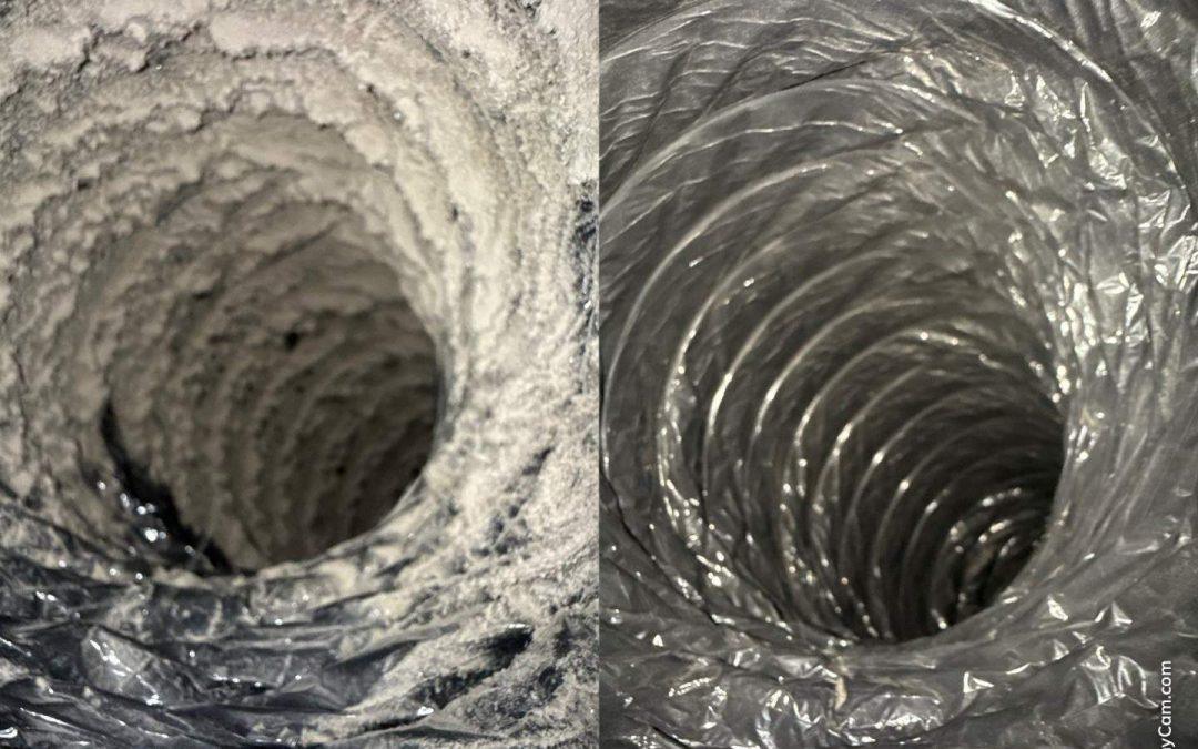 can air duct cleaning remove mice in vents