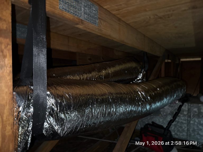 Old Insulation and Mold: