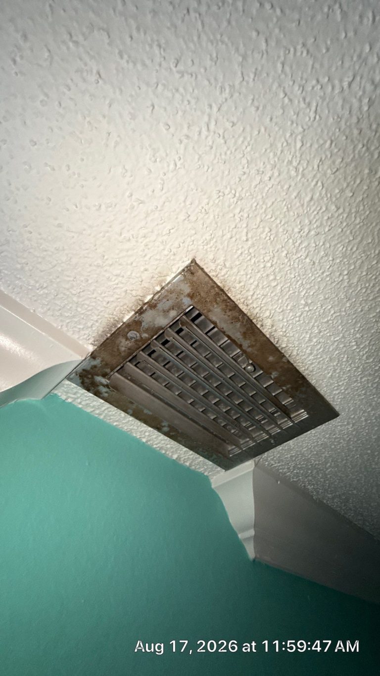 dirty air vents